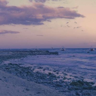 海贼新世界公益服下载