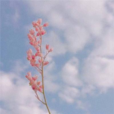 剑修仙侠传手游(暂未上线)v1.0 安卓版