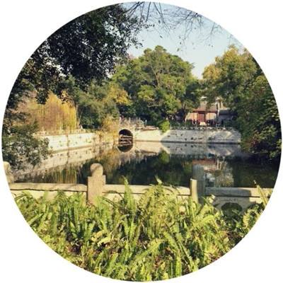 冒险者集结变态版下载
